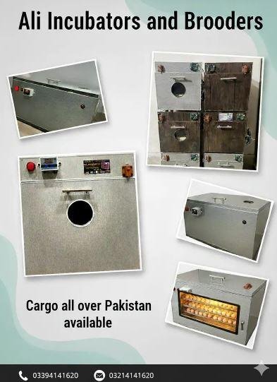 Automatic Incubators & Brooders for Sale in Faisalabad – 30 to 300 Eggs Capacity