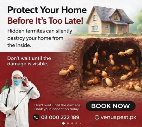 Termite control deemak control pest control services, fumigation spray