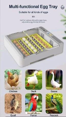 Automatic Eggs Incubator Machine for Sale in Lahore – 36 to 40 Eggs Hatching Machine
