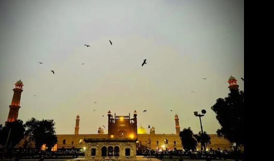 Remote Online job for females