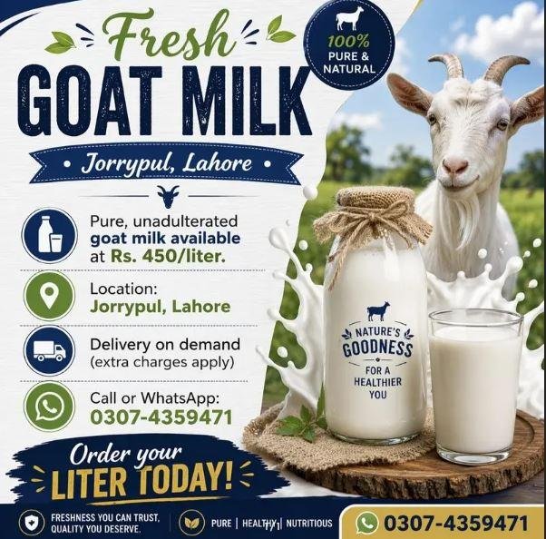 Pure Fresh Goat Milk for Sale in Lahore | Organic & Healthy Daily Supply