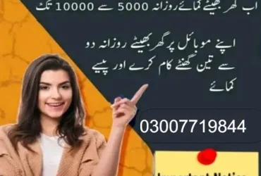 Job for Males, Females, Students (Part time, Full time Home Based Job