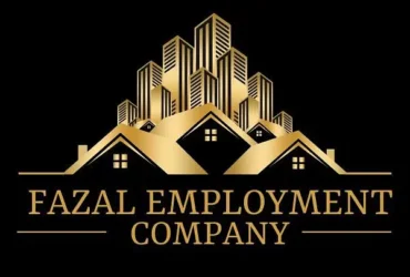 Maid/ Babysitter/Cook/ Driver / Nurse/available