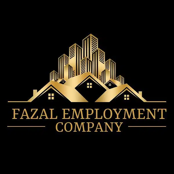 Maid/ Babysitter/Cook/ Driver / Nurse/available