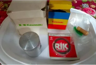 GTO-100 Ring Piston Set