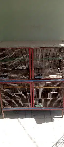 bird cage for sale in reasonable price