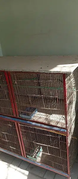 bird cage for sale in reasonable price