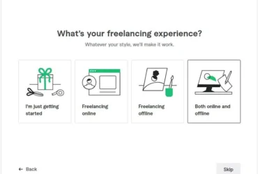 WordPress Developer and Local SEO expert