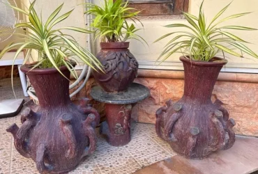 set of plant pots for sale
