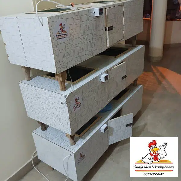 New Big Brooder for chicks 100+ chicks capacity