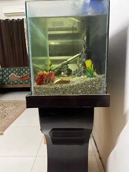 Fish aquarium with all accessories for sale