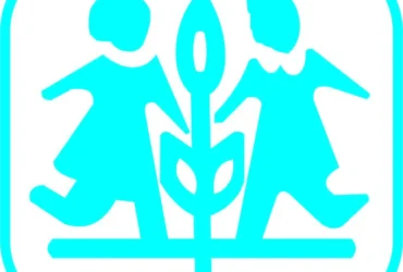 Qualified and Experienced Instructors Required