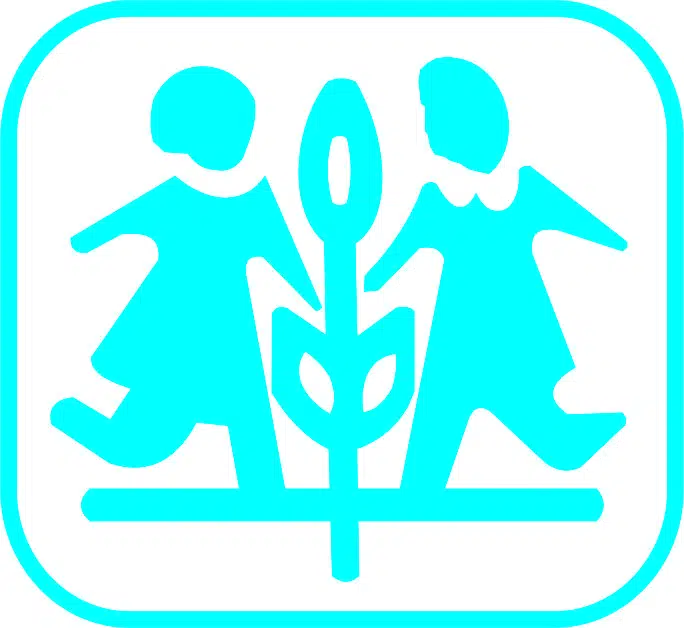 Qualified and Experienced Instructors Required