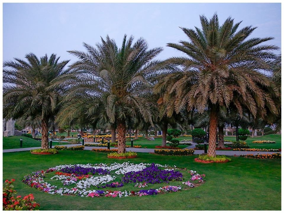 3 MARLA RESIDENTIAL PLOT FOR SALE CENTRAL PARK LAHORE