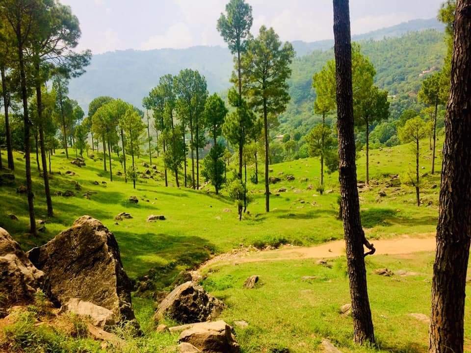 Residential Plot for sale in on Installments in Murree Green Valley